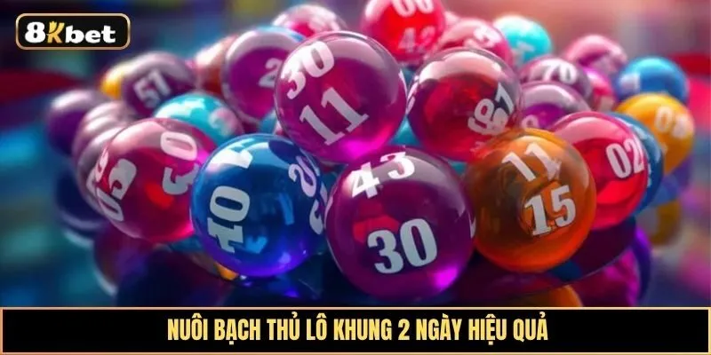 Bạch thủ lô khung 2 ngày: Bí kíp soi cầu và cách vào tiền lãi lớn