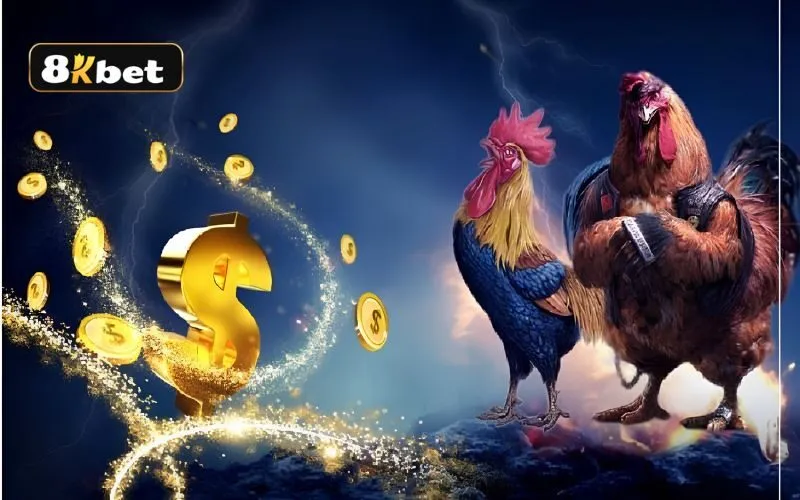 Bí kíp đá gà 8kbet thắng lớn từ cao thủ