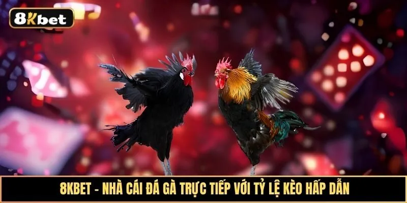 Khám phá hình thức đá gà trực tiếp với hình ảnh sắc nét và tỷ lệ kèo thưởng hấp dẫn