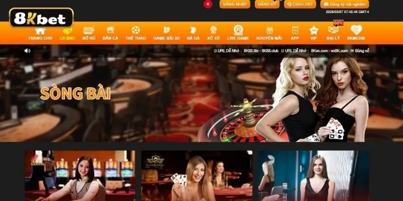 Live Casino