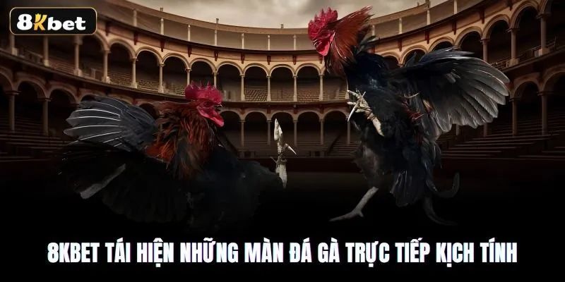 Sảnh đá gà 8kbet sở hữu nhiều ưu điểm nổi bật